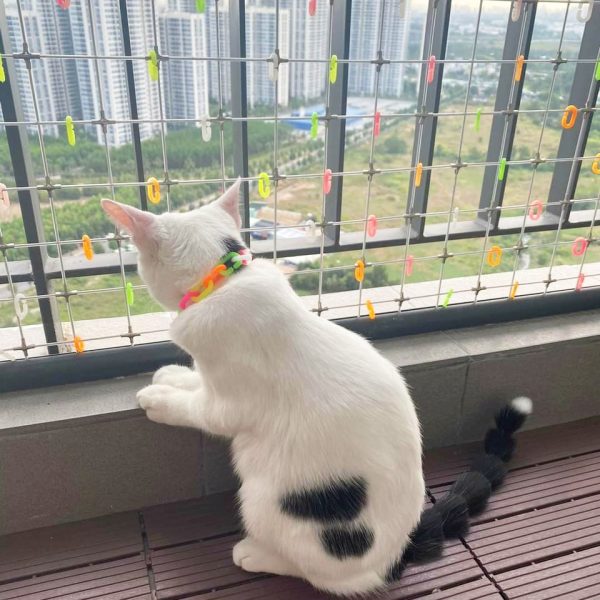 LƯỚI AN TOÀN NGĂN MÈO